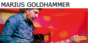 Marius Goldhammer